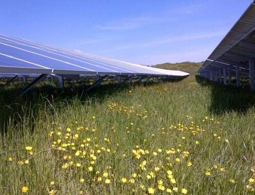 Pyworthy Solar Farm