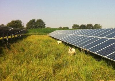 Oving Solar Farm