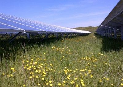 Pyworthy Solar Farm